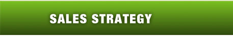 Sales Strategy
